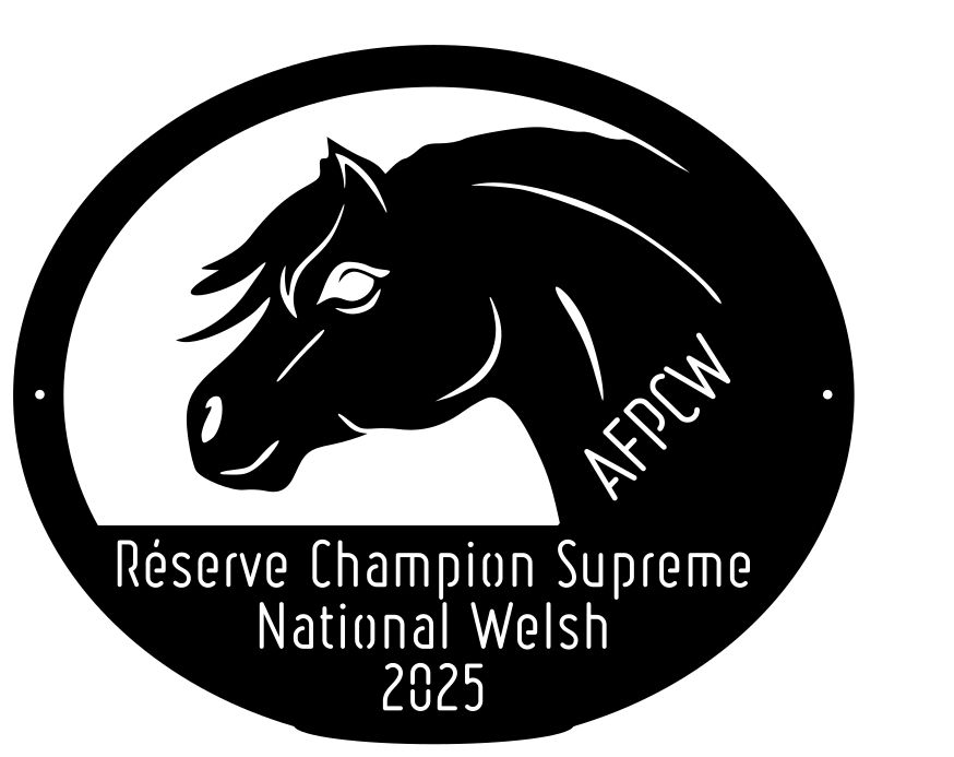 National Welsh Lignières 2025 - Réserve Champion Suprême