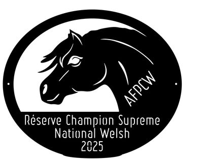 National Welsh Lignières 2025 - Réserve Champion Suprême National Welsh Lignières 2025 - Réserve Champion Suprême