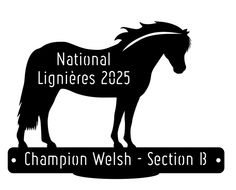 National Welsh Lignières 2025 - Champion Section B