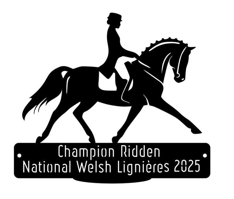 National Welsh Lignières 2025 - Champion Ridden