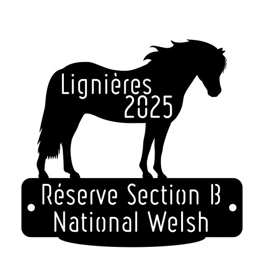 National Welsh Lignières 2025 - Réserve Section B