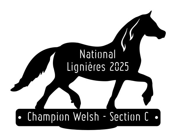 National Welsh Lignières 2025 - Champion Section C