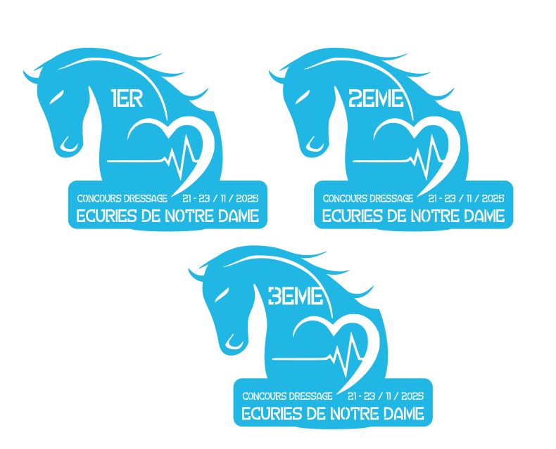 Trophées selon visuel Trophées selon visuel