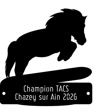 CHAMPION TACS - Chazey sur Ain 2026