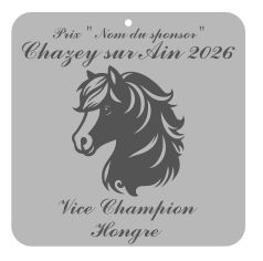 Vice Champion Hongre -  Chazey sur Ain 2026