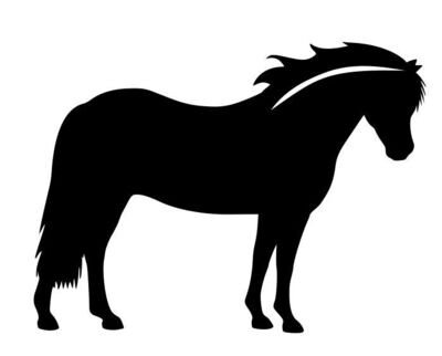 Concours Welsh