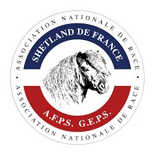 Régional Shetland - Nouvelle Aquitaine/Occitanie