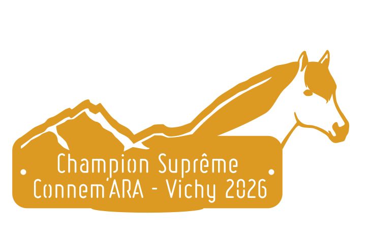 Champion suprême Connemara 2026
