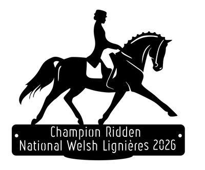 National Welsh Lignières 2026 - Champion Ridden