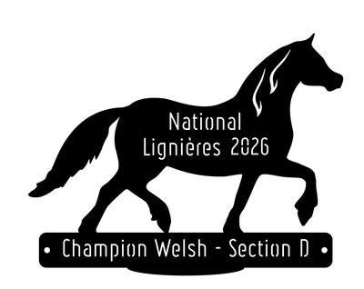 National Welsh Lignières 2026 - Champion Section D