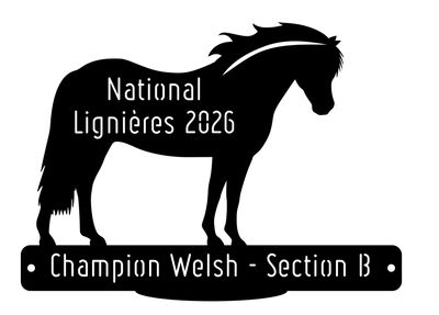 National Welsh Lignières 2026 - Champion Section B National Welsh Lignières 2026 - Champion Section B