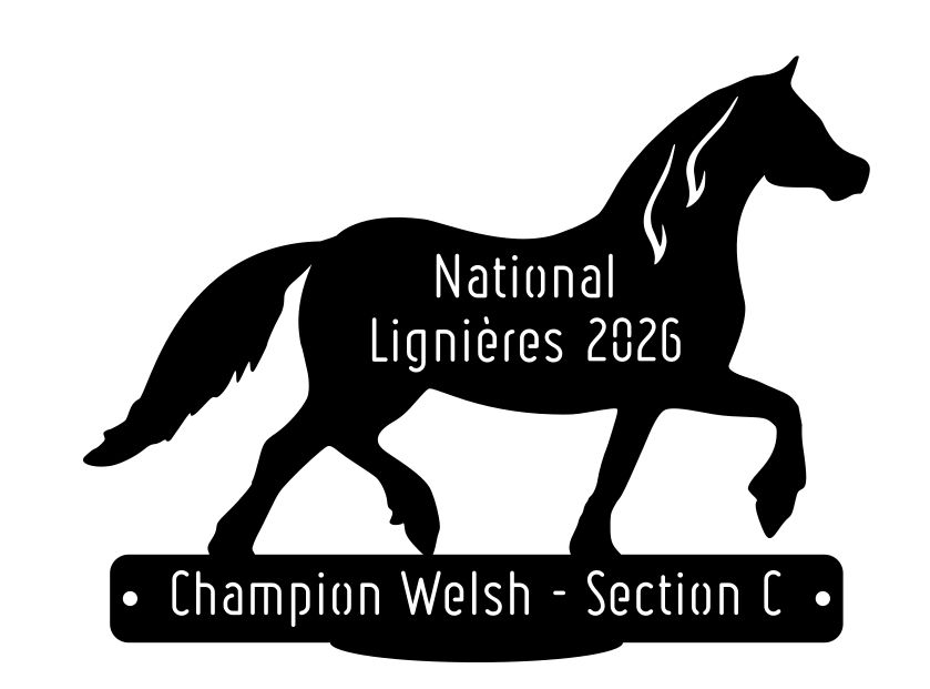 National Welsh Lignières 2026 - Champion Section C