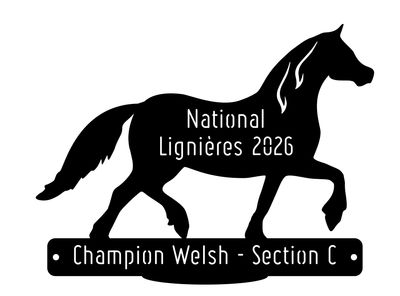National Welsh Lignières 2026 - Champion Section C National Welsh Lignières 2026 - Champion Section C
