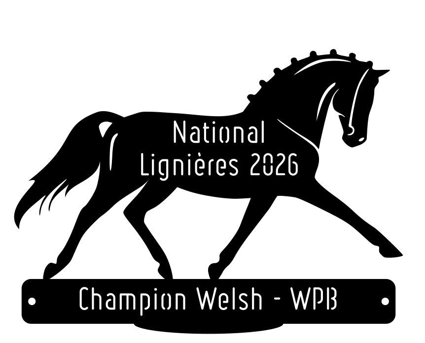 National Welsh Lignières 2026 - Champion WPB National Welsh Lignières 2026 - Champion WPB