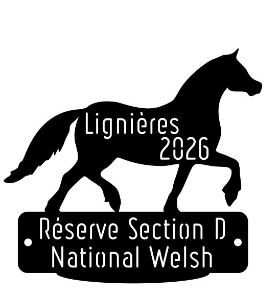 National Welsh Lignières 2026 - Réserve Section D National Welsh Lignières 2026 - Réserve Section D