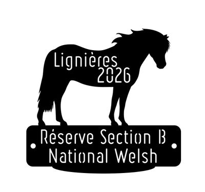 National Welsh Lignières 2026 - Réserve Section B