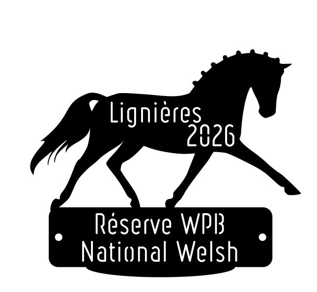 National Welsh Lignières 2026 - Réserve WPB National Welsh Lignières 2026 - Réserve WPB