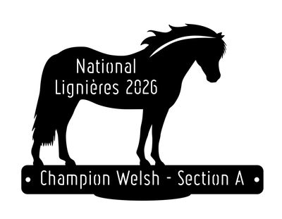 National Welsh Lignières 2026 - Champion Section A National Welsh Lignières 2026 - Champion Section A