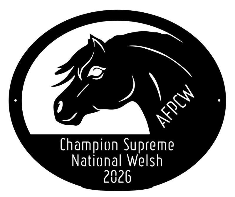 National Welsh Lignières 2026 - Champion Suprême National Welsh Lignières 2026 - Champion Suprême