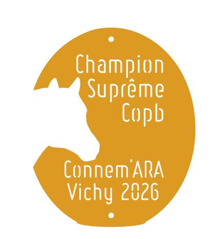 Champion suprême Copb Connemara 2026