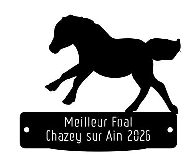Meilleur Foal -  Chazey sur Ain 2026