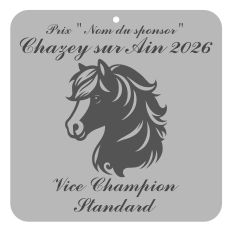 Vice Champion Standard -  Chazey sur Ain 2026