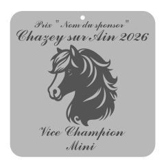 Vice Champion Mini - Chazey sur Ain 2026 Vice Champion Mini - Chazey sur Ain 2026