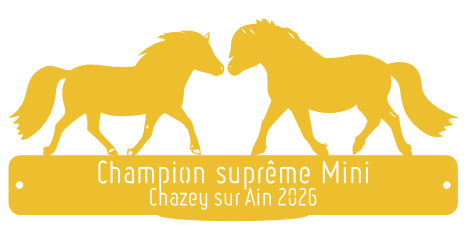 Champion suprême Mini -  Chazey sur Ain 2026