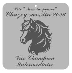 Vice Champion Intermédiaire -  Chazey sur Ain 2026