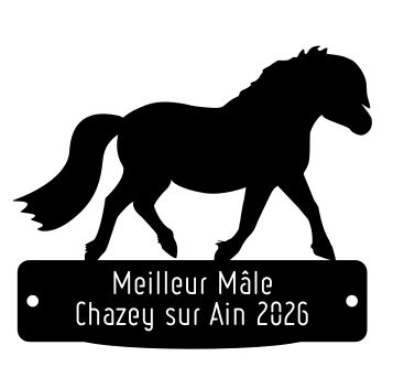 Meilleur Mâle -  Chazey sur Ain 2026