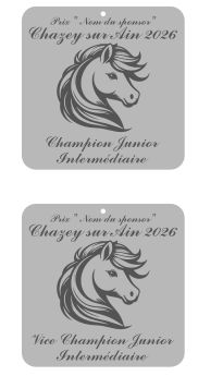 Pack de 2 plaques Junior intermédiaire - Chazey sur Ain 2026 Pack de 2 plaques Junior intermédiaire - Chazey sur Ain 2026