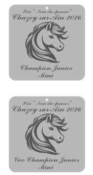 Pack de 2 plaques Junior mini - Chazey sur Ain 2026 Pack de 2 plaques Junior mini - Chazey sur Ain 2026