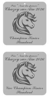 Pack de 2 plaques senior standard  -  Chazey sur Ain 2026