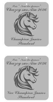 Pack de 2 plaques Junior standard - Chazey sur Ain 2026 Pack de 2 plaques Junior standard - Chazey sur Ain 2026