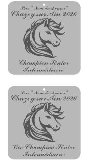 Pack de 2 plaques senior intermédiaire -  Chazey sur Ain 2026