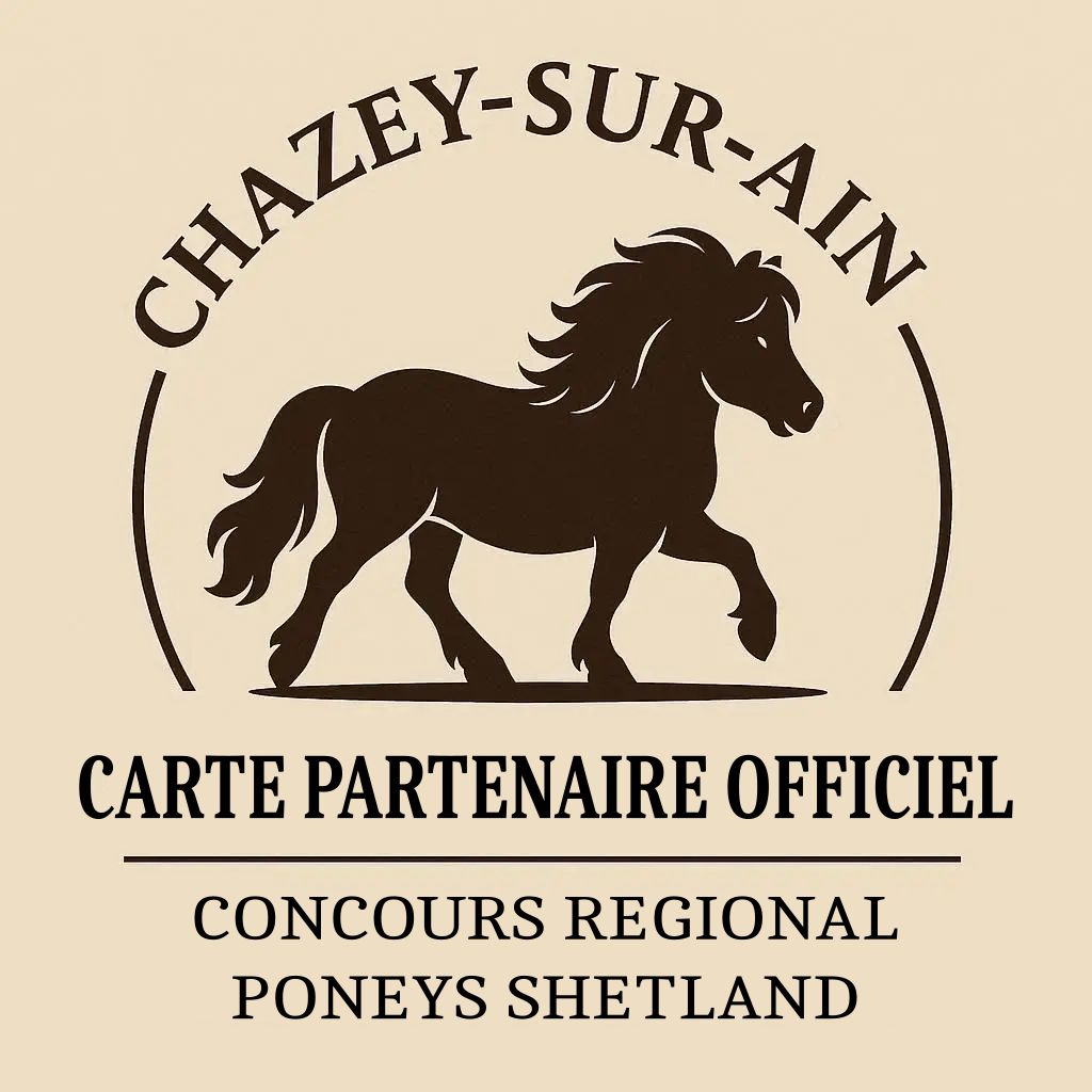 Carte partenaire officiel - Chazey sur ain Carte partenaire officiel - Chazey sur ain