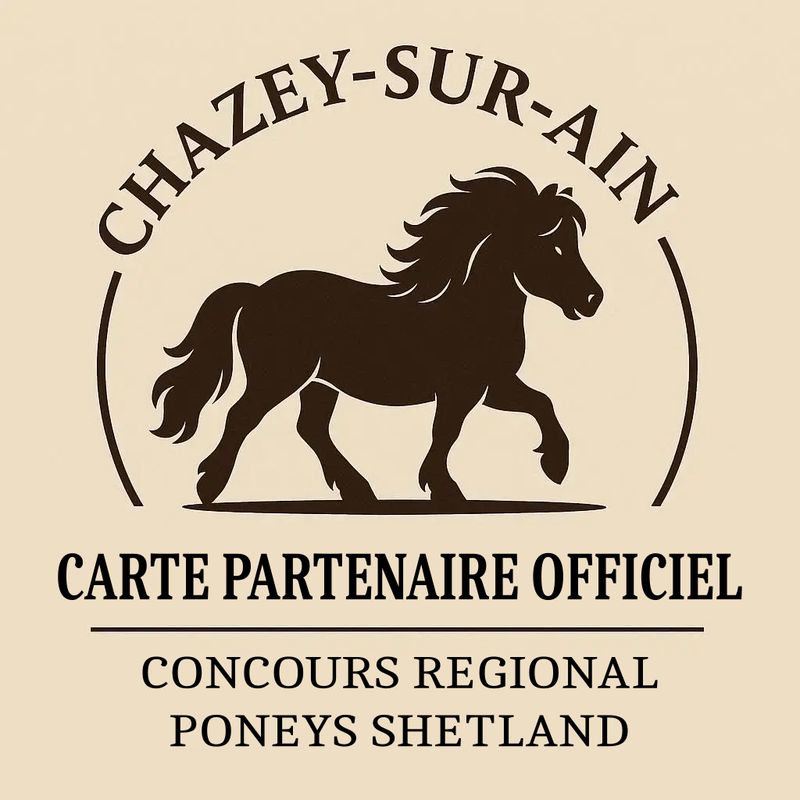 Carte partenaire officiel - Chazey sur ain Carte partenaire officiel - Chazey sur ain