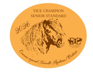 Vice Champion Senior Standard-  Nouvelle Aquitaine/Occitanie 2026
