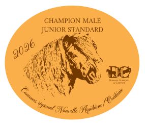 Pack de 2 plaques Junior standard -  Nouvelle Aquitaine/Occitanie 2026
