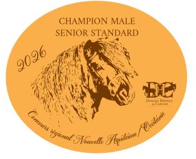 Pack de 2 plaques Senior standard -  Nouvelle Aquitaine/Occitanie 2026