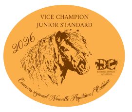 Vice Champion Junior Standard -  Nouvelle Aquitaine/Occitanie 2026