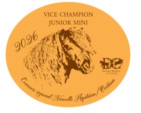Vice Champion Junior Mini -  Nouvelle Aquitaine/Occitanie 2026