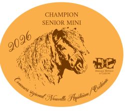 Champion Sénior Mini -  Nouvelle Aquitaine/Occitanie 2026