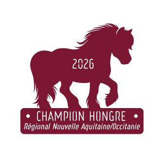 Champion Hongre -  Nouvelle Aquitaine/Occitanie 2026
