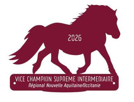 Vice Champion suprême Intermédiaire  -  Nouvelle Aquitaine/Occitanie 2026