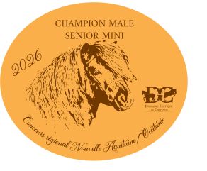 Pack de 2 plaques Senior Mini -  Nouvelle Aquitaine/Occitanie 2026