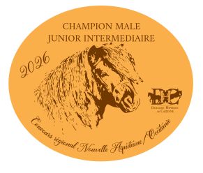 Pack de 2 plaques Junior Intermédiaire -  Nouvelle Aquitaine/Occitanie 2026
