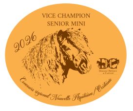 Vice Champion Senior Mini -  Nouvelle Aquitaine/Occitanie 2026