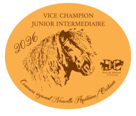 Vice Champion Junior Intermédiaire -  Nouvelle Aquitaine/Occitanie 2026