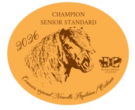 Champion Sénior Standard -  Nouvelle Aquitaine/Occitanie 2026